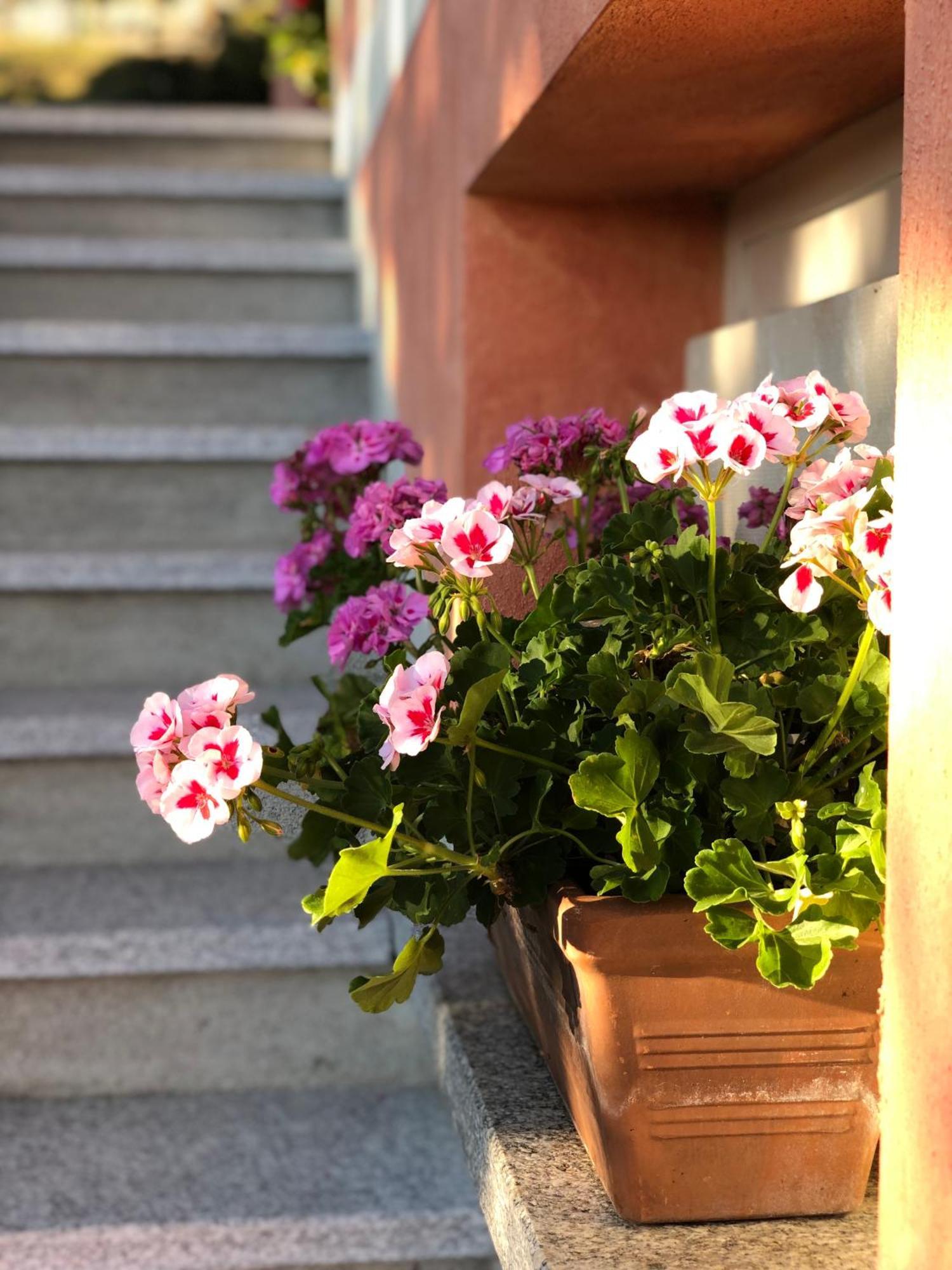 Casa Ilaria Hotel Armeno Exterior photo